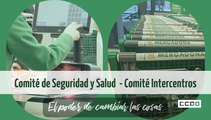 Reunión del Comité Intercentros y de Seguridad y Salud