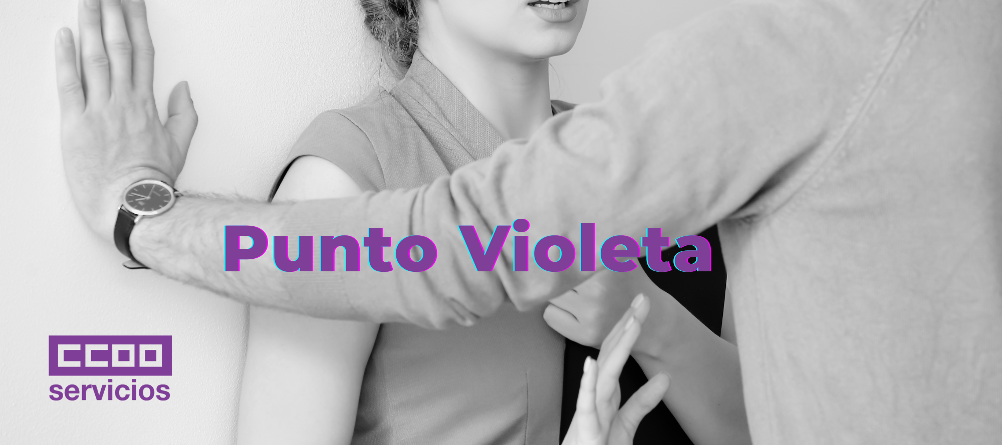 https://www.ccoo-servicios.es/pagweb/3936.html