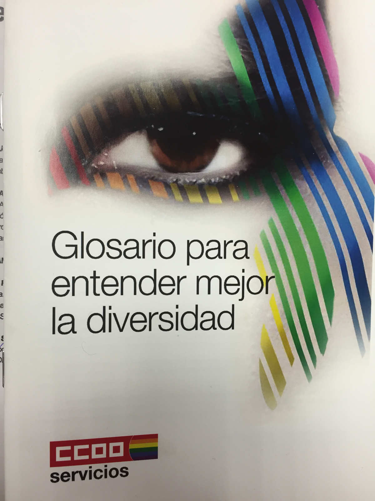 diccionario diversidad LGTB