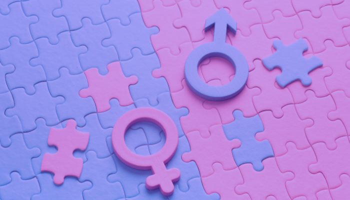 puzle símbolo género