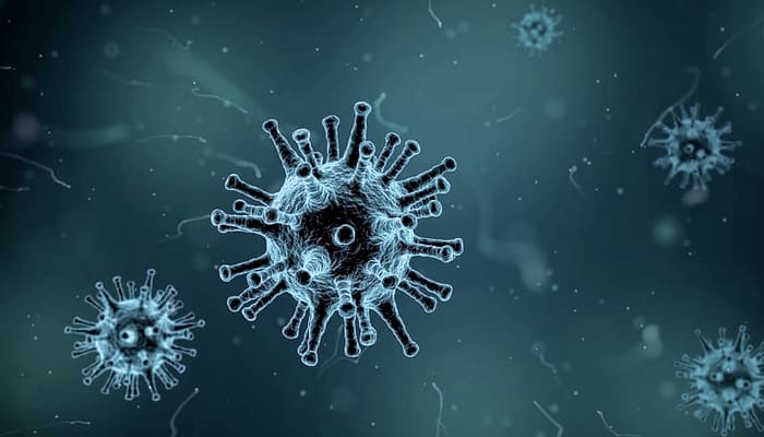 Imagen coronavirus