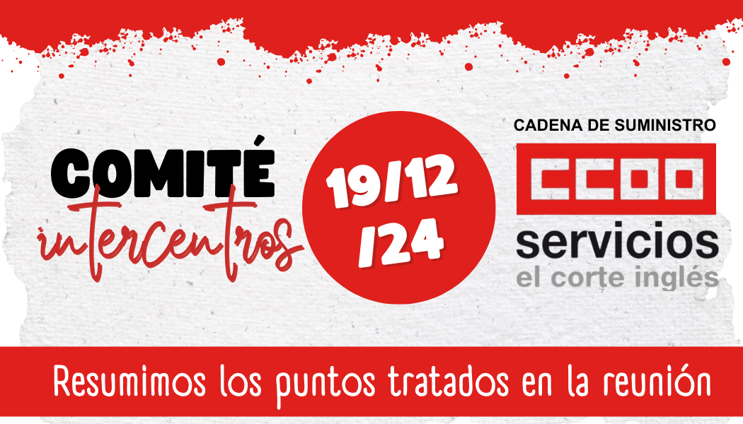 CCOO ECICS COMITÉ INTERCENTROS EMPRESA REUNIÓN 16_12_2024