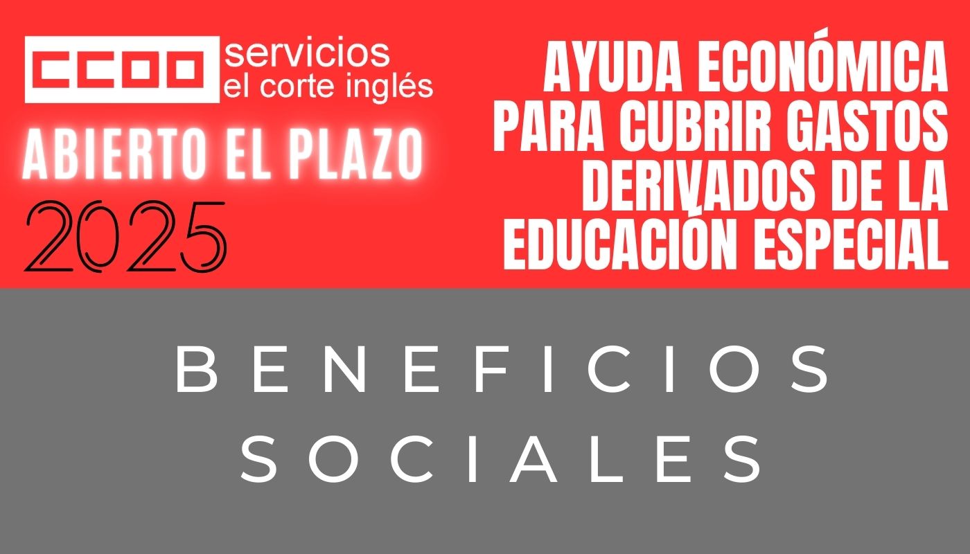 CCOO ECI COMISIONES OBRERAS EL CORTE INGLÉS AYUDA ECONÓMICA PARA CUBRIR GASTOS DERIVADOS DE LA EDUCACIÓN ESPECIAL DE LAS HUJAS E HIJOS DE EMPLEADOS CO