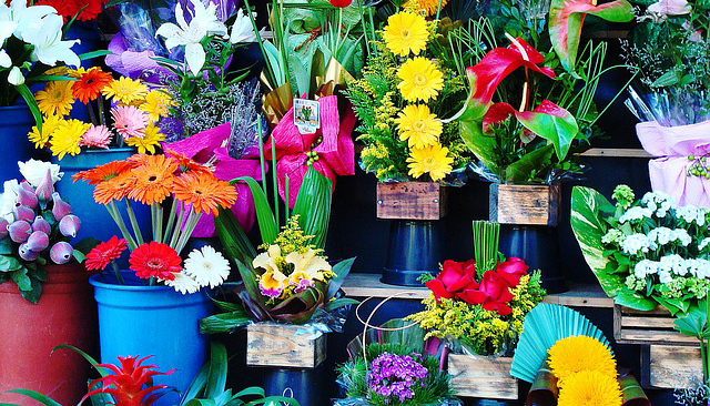 Convenio Colectivo de Flores y Plantas