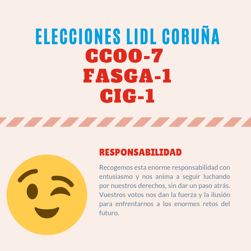 eleccións lidl web