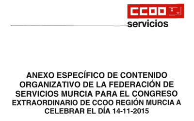 Anexo específico organizativo de la Federación de Servicios Murcia