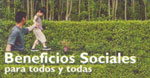 Calendario de sobremesa