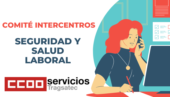 Comité Intercentros de Seguridad y Salud Laboral