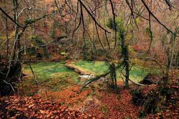 Informe turismo de navarra